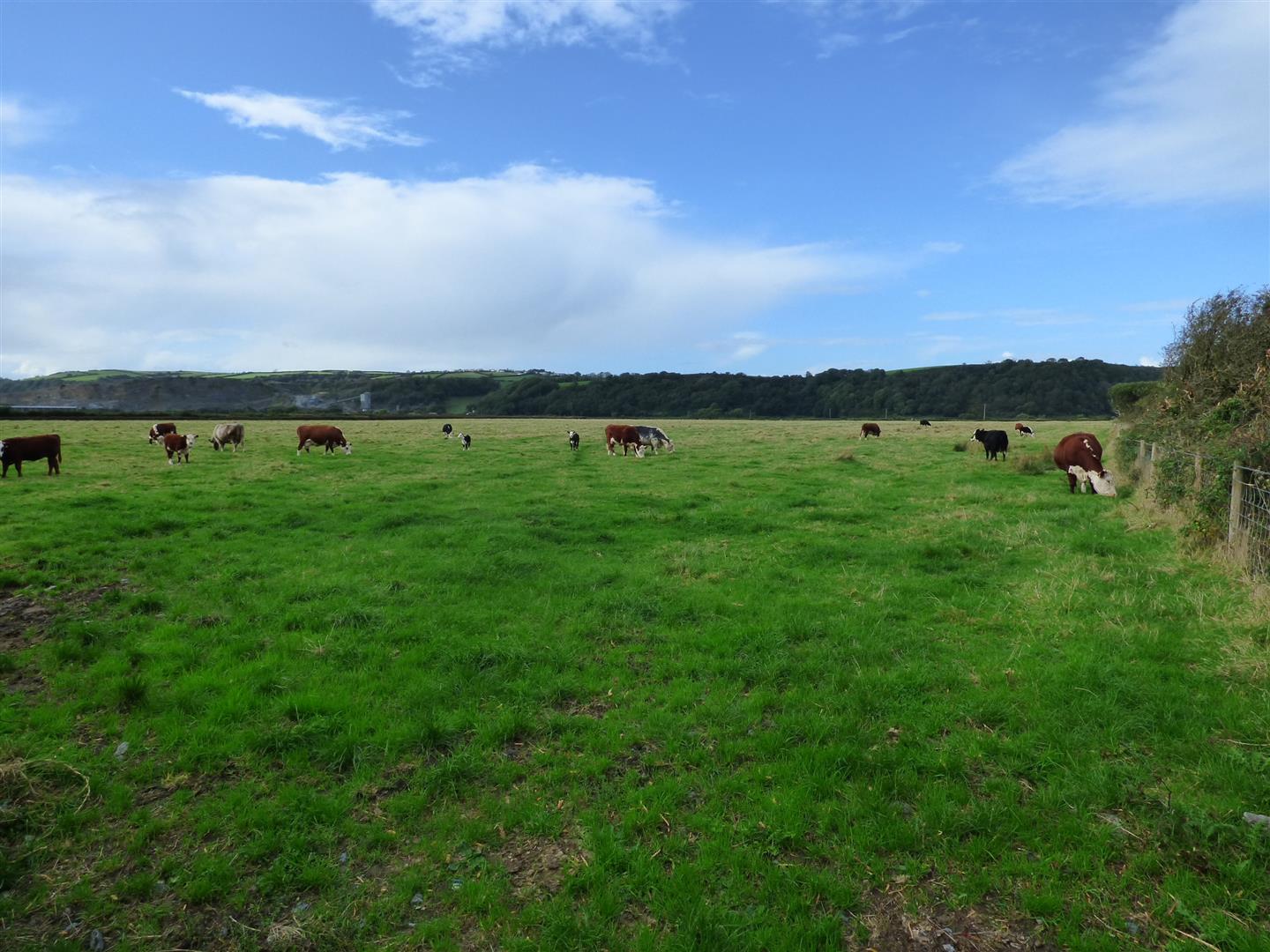 Laugharne, Carmarthen BJP Residential